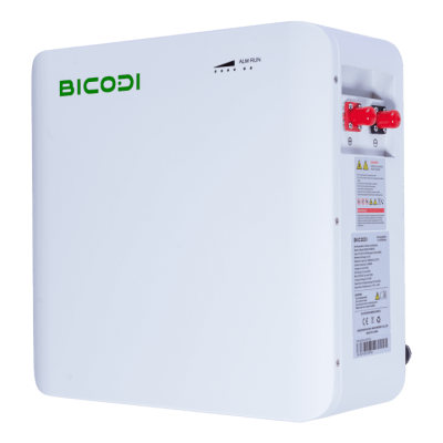 2.56KW Rechargeable LIIon LFP25.6V 100ah